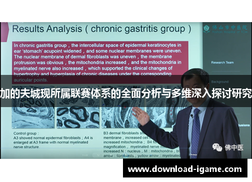 加的夫城现所属联赛体系的全面分析与多维深入探讨研究 加的夫城现所属联赛体系的全面分析与多维深入探讨研究