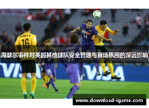 海瑟尔事件对英超其他球队安全管理与赛场氛围的深远影响