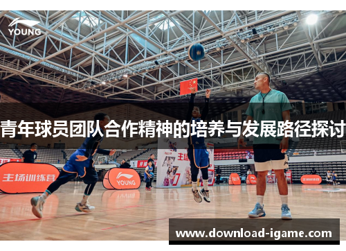 青年球员团队合作精神的培养与发展路径探讨