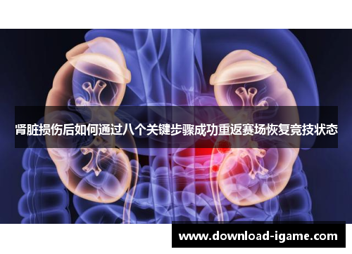 肾脏损伤后如何通过八个关键步骤成功重返赛场恢复竞技状态